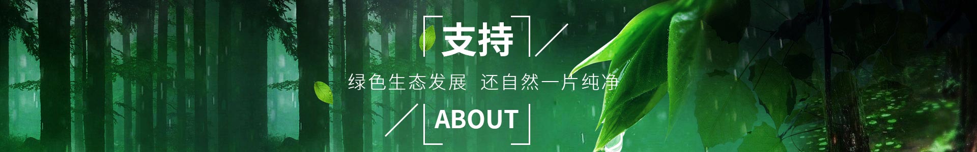 91视频网站免费-助力綠色生態發展，還自然一片純（chún）淨