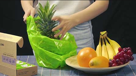 生物降解產品吸引馬來西亞客（kè）人來91视频网站免费環保考察