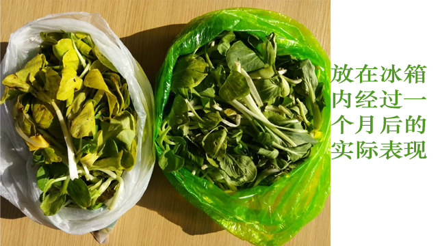 生物降解袋能直（zhí）接包裝食（shí）品嗎？